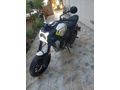 2024 CL-X 250