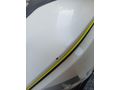 2024 CL-X 250