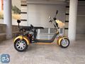 Depo Motor'dan City Coco Trike CP7