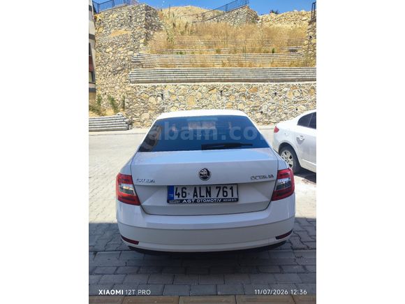 Sahibinden Skoda Octavia 1.6 TDI Optimal 2018 Model