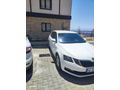 Sahibinden Skoda Octavia 1.6 TDI Optimal 2018 Model