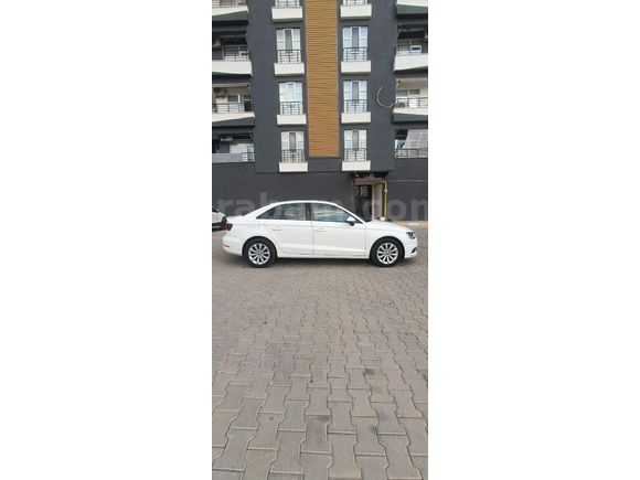 MEMURDAN TEMİZ AUDİ