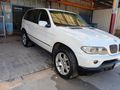 Sahibinden BMW X5 30d 2006 Model