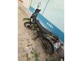 Sahibinden Kuba Black Cat 