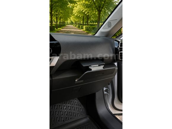 Sahibinden Citroen e-C4 Shine Bold 2024 Model 