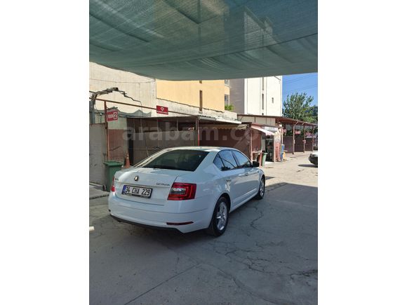 Sahibinden Skoda Octavia 1.6 TDI Optimal 2019 Model