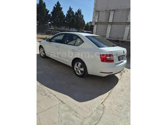 Sahibinden Skoda Octavia 1.6 TDI Optimal 2019 Model