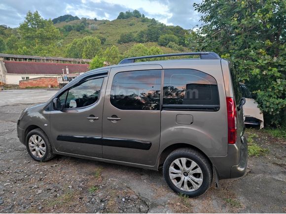 Selection Cam Tavanlı 115 HP en full