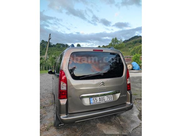 Selection Cam Tavanlı 115 HP en full
