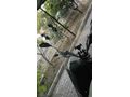 Sahibinden Honda PCX125 Antalya