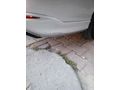Sahibinden Fiat Egea 1.4 Fire Easy 2016 Model  161.500 km Gri
