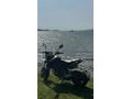 Sahibinden Benelli TNT 125 