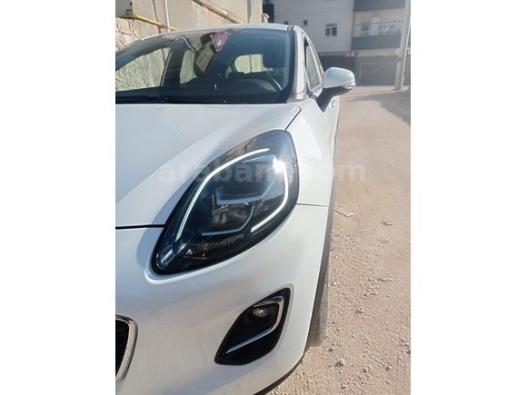 Öğretmenden garantili puma