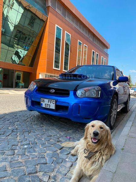 Sahibinden Subaru Impreza 2.0 GX 2004 Model Bursa 304.500 km Mavi
