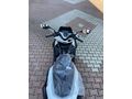 Sahibinden Honda PCX125 DX İzmir