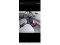 Sahibinden Renault Clio 1.5 dCi Authentique 2007 Model