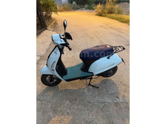 Sahibinden Kuba Blueberry 50 Adana