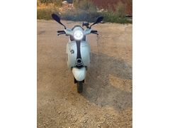 Sahibinden Kuba Blueberry 50 Adana