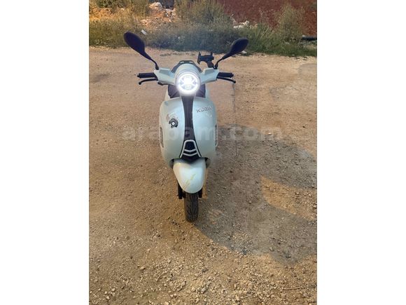 Sahibinden Kuba Blueberry 50 Adana