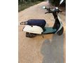 Sahibinden Kuba Blueberry 50 Adana