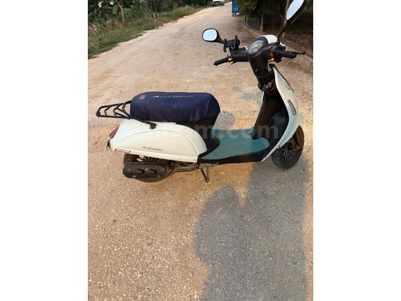 Sahibinden Kuba Blueberry 50 Adana