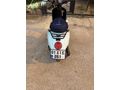 Sahibinden Kuba Blueberry 50 Adana