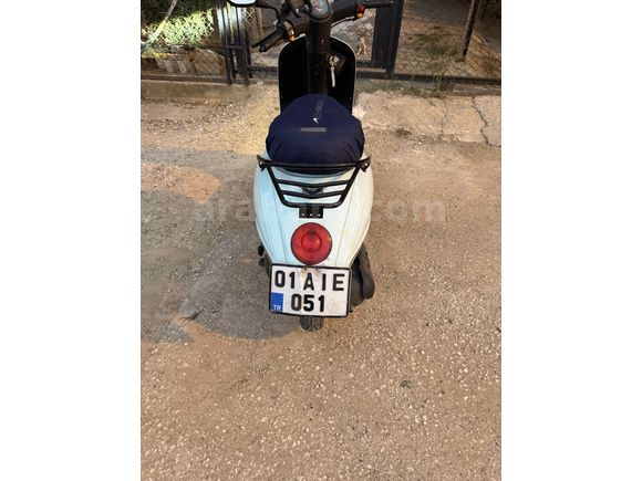 Sahibinden Kuba Blueberry 50 Adana