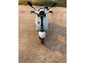 Sahibinden Kuba Blueberry 50 Adana