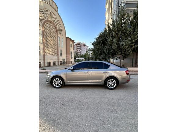 Memurdan Temiz Cam Tavan Octavia