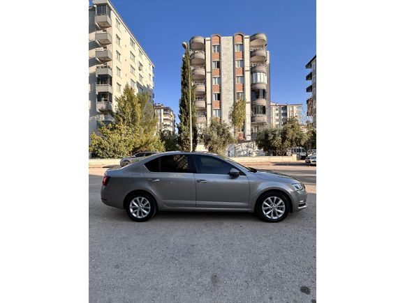 Memurdan Temiz Cam Tavan Octavia