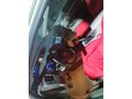 Sahibinden Honda Civic 1.6i VTEC Eco Elegance 2012 Model