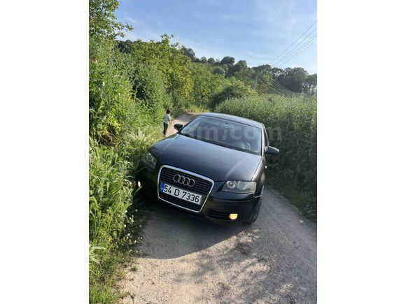 Sahibinden Audi A3 Sportback 1.6 Attraction 2006 Model 
