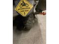 Sahibinden Honda PCX150 