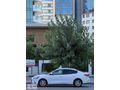 FORD FOCUS 1.5 EcoBlue 2020 TREND X OTOMATİK KREDİ İMKANI