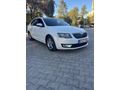 Sahibinden Skoda Octavia 1.6 TDI Optimal 2014 Model 
