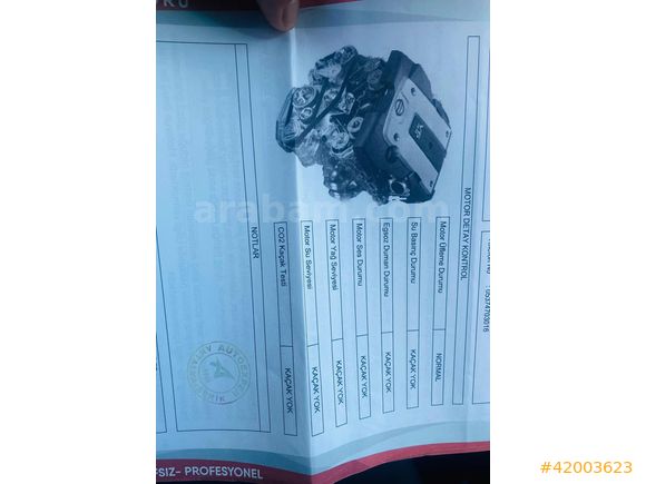 Tertemiz araç çiçek paket