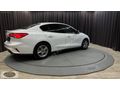 2020 FOCUS / 1.5 Tİ-VCT / TREND X / MASRAFSIZ / BAKIMLI /