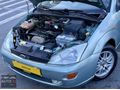 KAPUT TAVAN BAGAJ BOYASIZ KLİMA AKTİF 2001 FOCUS GHİA ORJİNAL