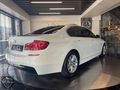 2011 BMW 520d