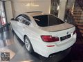 2011 BMW 520d