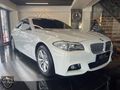2011 BMW 520d