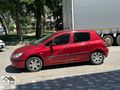 2004 PEUGEOT 307 1.6 BENZİN LPGLİ