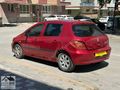 2004 PEUGEOT 307 1.6 BENZİN LPGLİ