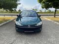 PEUGEOT 206 CAM TAVAN FULL BAKIMLI