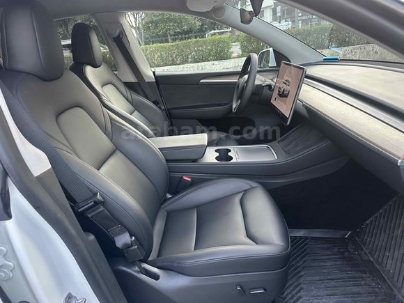 Sahibinden Tesla Model Y Long Range AWD 2023 Model Denizli