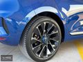 ALTINOK MOTORS'DAN CLİO ESPRİT ALPİNE LANSMAN RENK