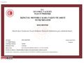 OTOBİZZ den BOYASIZ DEĞİŞENSİZ TRAMERSİZ GARANTİLİ ORİJİNAL