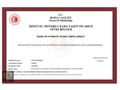 BURSA VIP OTOMOTİV CLİO 0,9 TCE 2020 MANUEL