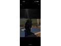 Yamaha X-Max 250 Tech Max ACİL SATLIK