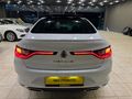 HATASIZ CAM TAVAN ICON MEGANE